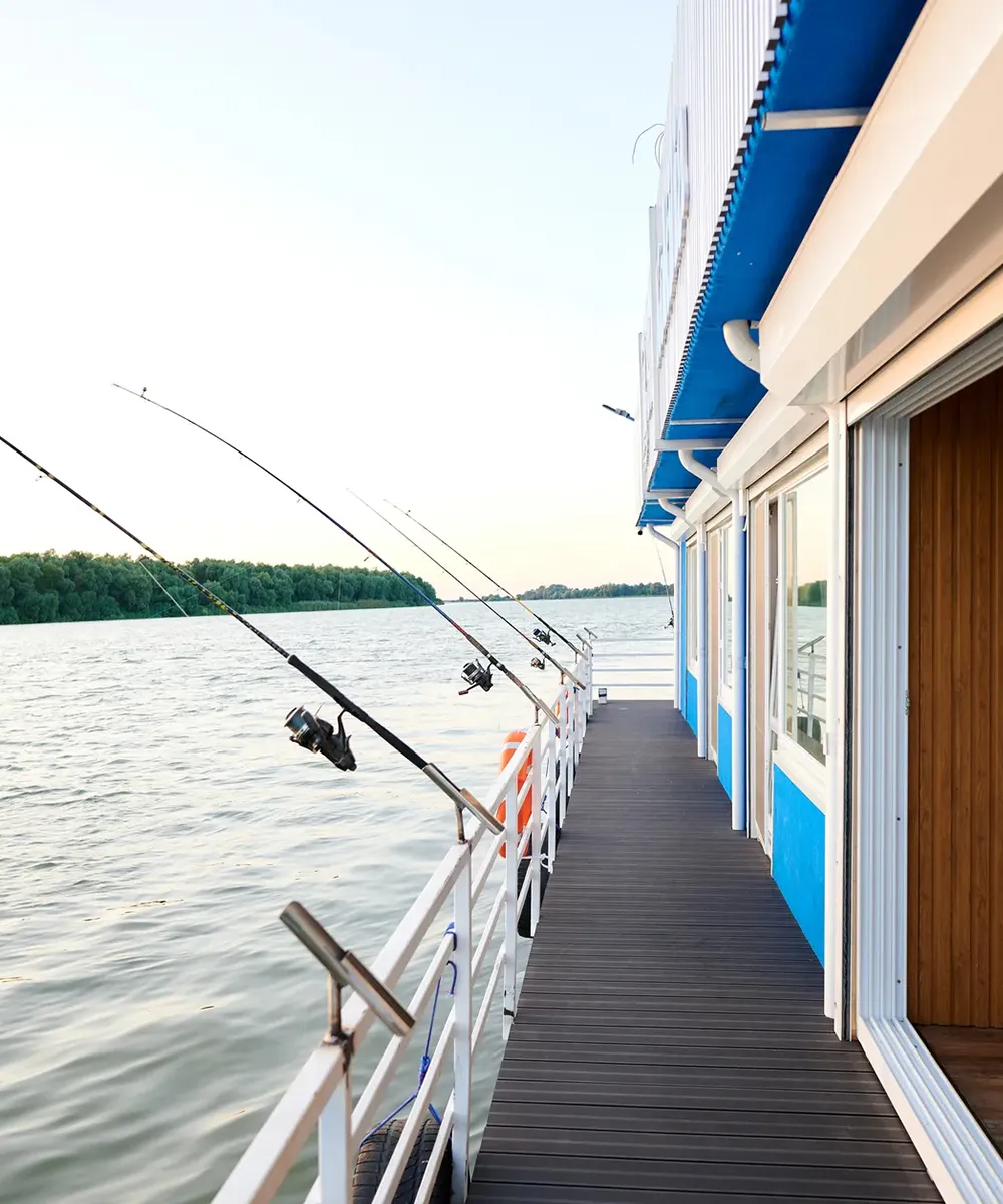 Despre Blue Kokilia - 2